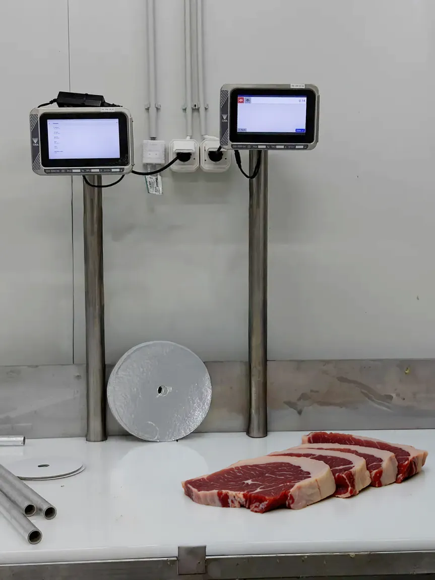 DIGI DIX-3000SS indicator